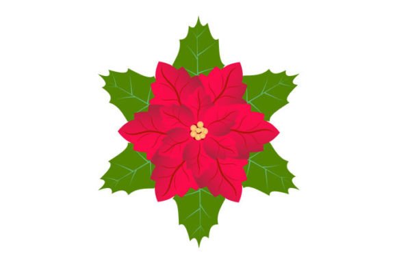Download Red Christmas Poinsettia Flower Designs - Sign Collection