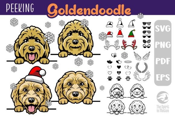 Download Goldendoodle SVG, Clipart &amp; Cutfiles - Cutfiles Collection